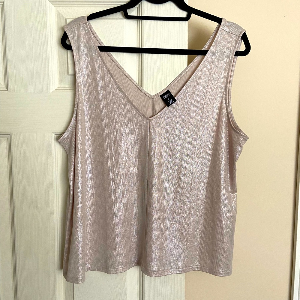 XL Shimmery Blouse